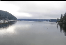 Deep Cove Kayak Centre Live Webcam