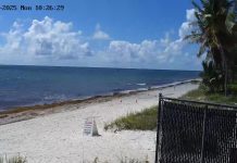 Key Biscayne, Florida Live Webcam - Miami Kiteboarding