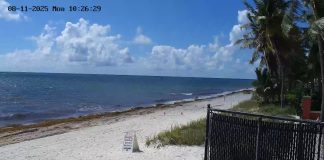 Key Biscayne, Florida Live Webcam - Miami Kiteboarding