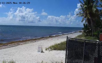 Key Biscayne, Florida Live Webcam - Miami Kiteboarding