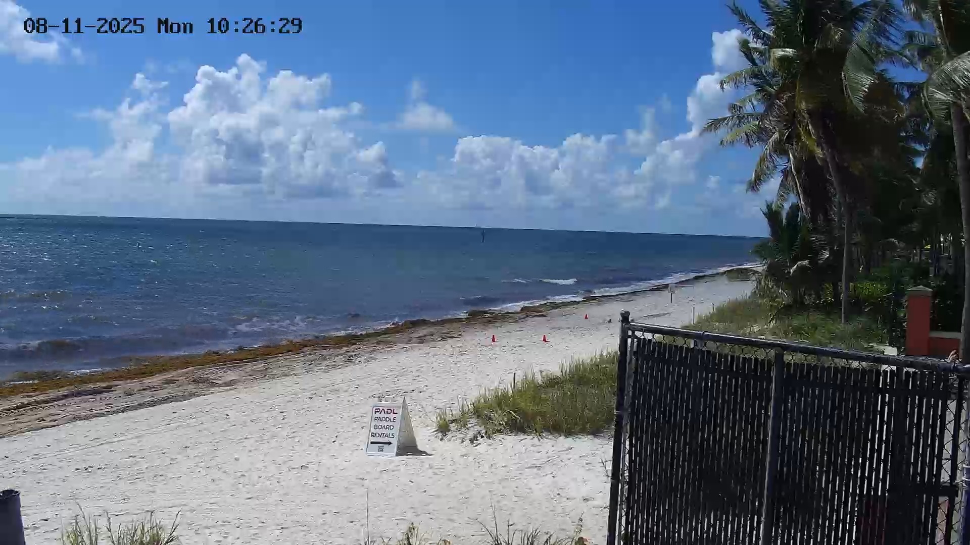 Key Biscayne, Florida Live Webcam – Miami Kiteboarding