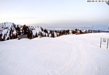 Mt Seymour Webcam | Ski Area | Live Hd Video