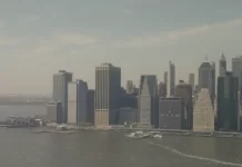 New York Livestream