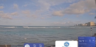 Waikiki Beach Cams