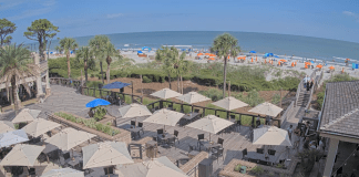 Coligny Beach Webcam