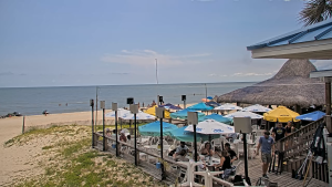 Blue Parrot Beach Cam - St George Island, Florida
