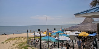 Blue Parrot Beach Cam - St George Island, Florida