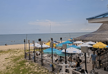 Blue Parrot Beach Cam - St George Island