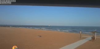 Manistee Beach Cam - Mi