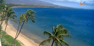 Sugar Beach Maui Webcam