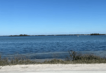 Palm Harbor Florida Webcam