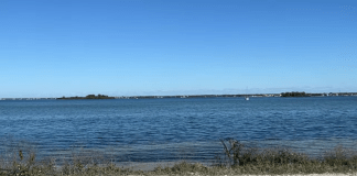 Palm Harbor Florida Webcam