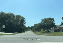 Spring Hill, Florida Webcam & Weather