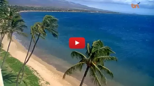 Sugar Beach Maui Webcam