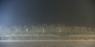 Avalon Pier Webcam | Kill Devil Hills