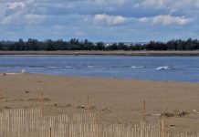 Plum Island Beaches Ma