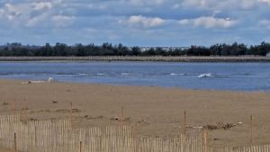Plum Island Beaches Ma