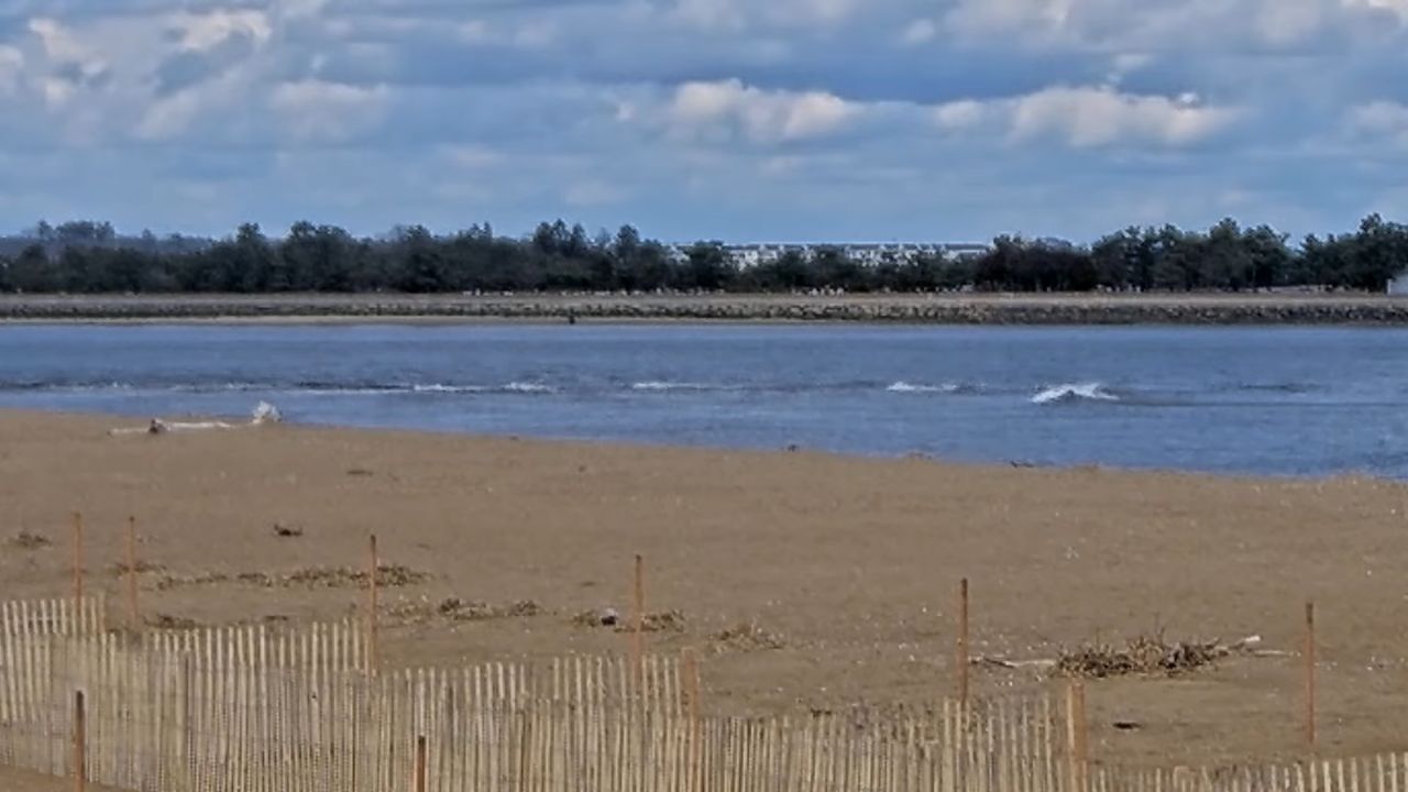 Live Webcams Plum Island Beach
