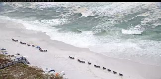 Navarre Beach Webcams - Pensacola Beach, Florida | Hd Video