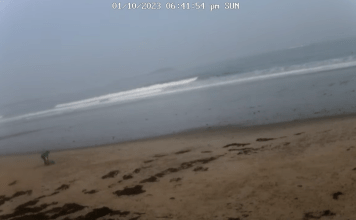 Scarborough Beach Webcam | Surf