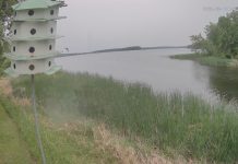 Lake Winnibigoshish Webcam | Deer Lake Mn