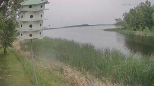 Lake Winnibigoshish Webcam | Deer Lake Mn