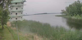 Lake Winnibigoshish Webcam | Deer Lake Mn