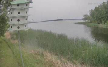 Lake Winnibigoshish Webcam | Deer Lake Mn