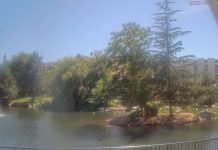 Manzanita Lake Webcam | Reno Nv