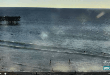 Pacific Terrace Hotel Webcam - Pacific Beach | San Diego Ca