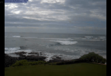 Kuhio Beach Webcam