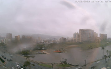 Ala Wai Canal Hawaii | Mccully Bridge | Webcam