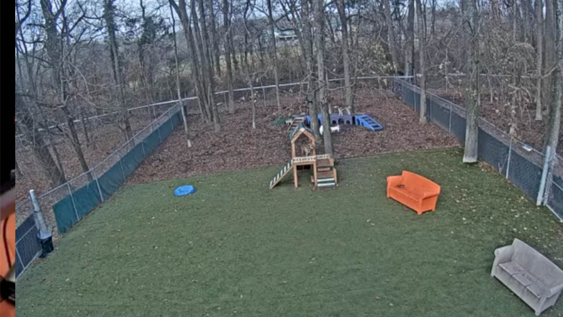 Dogwood Acres Live Webcam – Davidsonville, Maryland