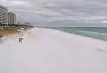 Seascape Webcam Whale's Tail Beach Bar And Grill | Fl