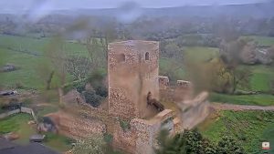 Castillo De Villapadierna Webcam - León, Spain