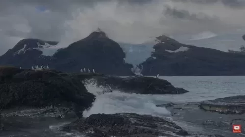 South Georgia Island Webcam