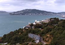 Wellington Harbour Live Webcam - North Island, New Zealand