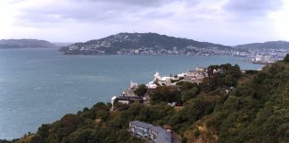 Wellington Harbour Live Webcam - North Island, New Zealand