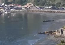 Avila Beach Live Pier Overlook Webcam |