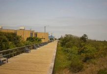 Avalon Nj Webcam | Boardwalk Live Hd Video Cam