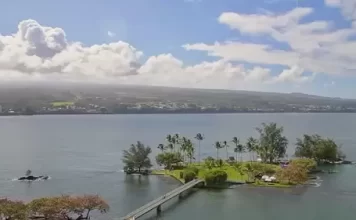 Coconut Island Webcam