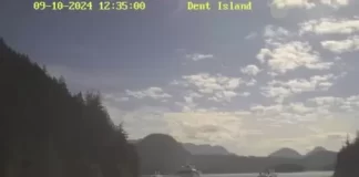 Dent Island Webcam