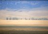 Jackson Hole Webcam Elk Refuge - Wyoming, Live Video