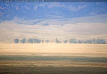 Jackson Hole Webcam Elk Refuge - Wyoming, Live Video