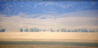 Jackson Hole Webcam Elk Refuge - Wyoming, Live Video