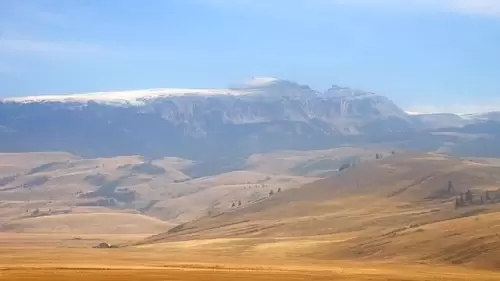 Jackson Hole Webcam Elk Refuge – Wyoming, Live Video