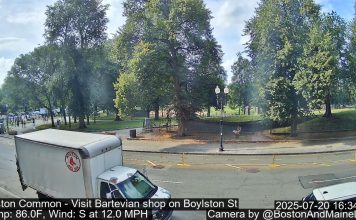 Boston Common Cam - Boylston St - Massachusetts