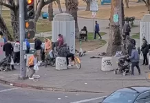 Macarthur Park Live Webcam - Los Angeles, Ca