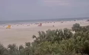 Sarasota Florida Webcams - Circus City