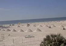 Siesta Key Fl Webcams - Little Sarasota Key